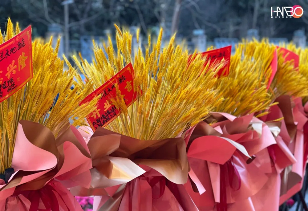 成都新蘭天地酒店開(kāi)業(yè)慶典儀式成功舉辦